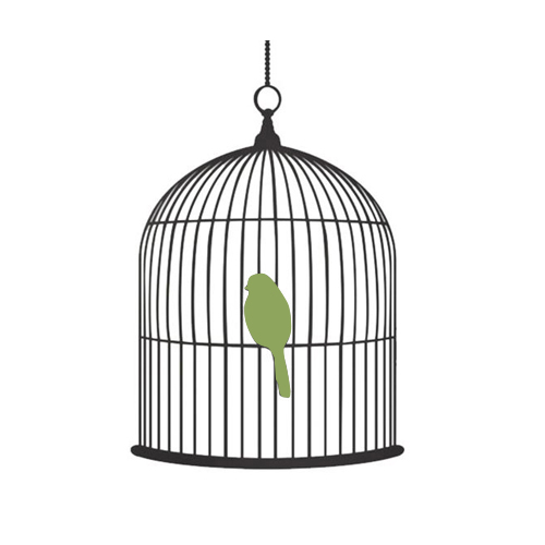 Bird cage Cover
